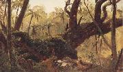 Frederic E.Church Rain Forest,jamaica,West Indies oil on canvas